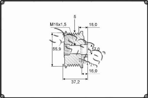 3Effe Group F0024G - Riemenscheibe, Generator alexcarstop-ersatzteile.com