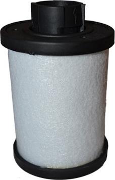 ASAM 70231 - Kraftstofffilter alexcarstop-ersatzteile.com