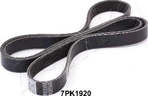 Ashika 112-7PK1920 - Keilrippenriemen alexcarstop-ersatzteile.com