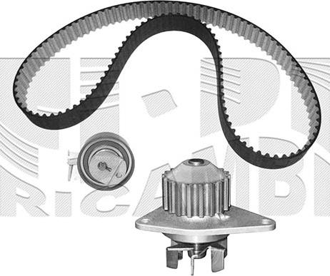 Autoteam KATW1300B - Wasserpumpe + Zahnriemensatz alexcarstop-ersatzteile.com