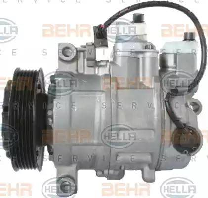 BEHR HELLA Service 8FK 351 316-831 - Kompressor, Klimaanlage alexcarstop-ersatzteile.com