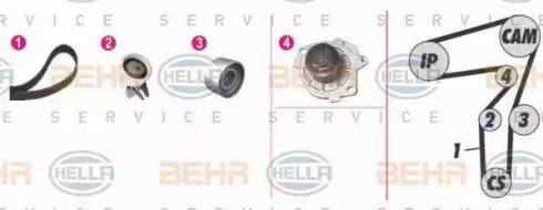 BEHR HELLA Service 8MP 376 806-881 - Wasserpumpe + Zahnriemensatz alexcarstop-ersatzteile.com