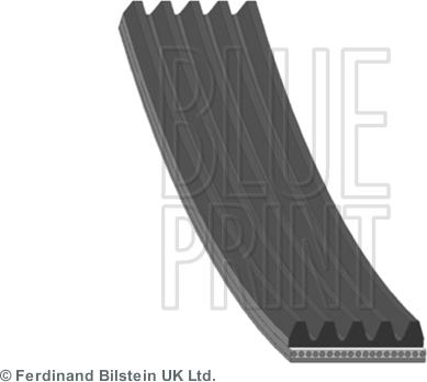 Blue Print AD05R884 - Keilrippenriemen alexcarstop-ersatzteile.com