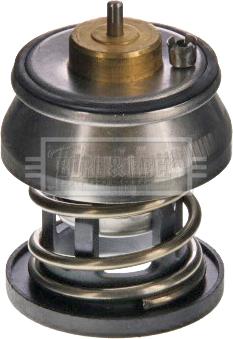 Borg & Beck BBT531 - Thermostat, Kühlmittel alexcarstop-ersatzteile.com