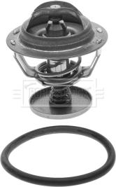 Borg & Beck BBT072 - Thermostat, Kühlmittel alexcarstop-ersatzteile.com