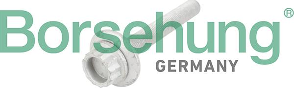 Borsehung B10654 - Zentrierschraube, Riemenscheibe-Kurbelwelle alexcarstop-ersatzteile.com