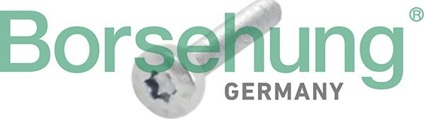 Borsehung B10634 - Schraube, Zahnrad-Nockenwelle alexcarstop-ersatzteile.com