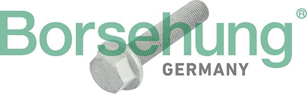 Borsehung B10633 - Zentrierschraube, Riemenscheibe-Kurbelwelle alexcarstop-ersatzteile.com