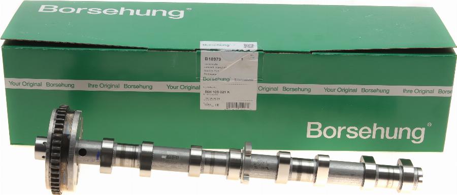 Borsehung B18979 - Nockenwelle alexcarstop-ersatzteile.com