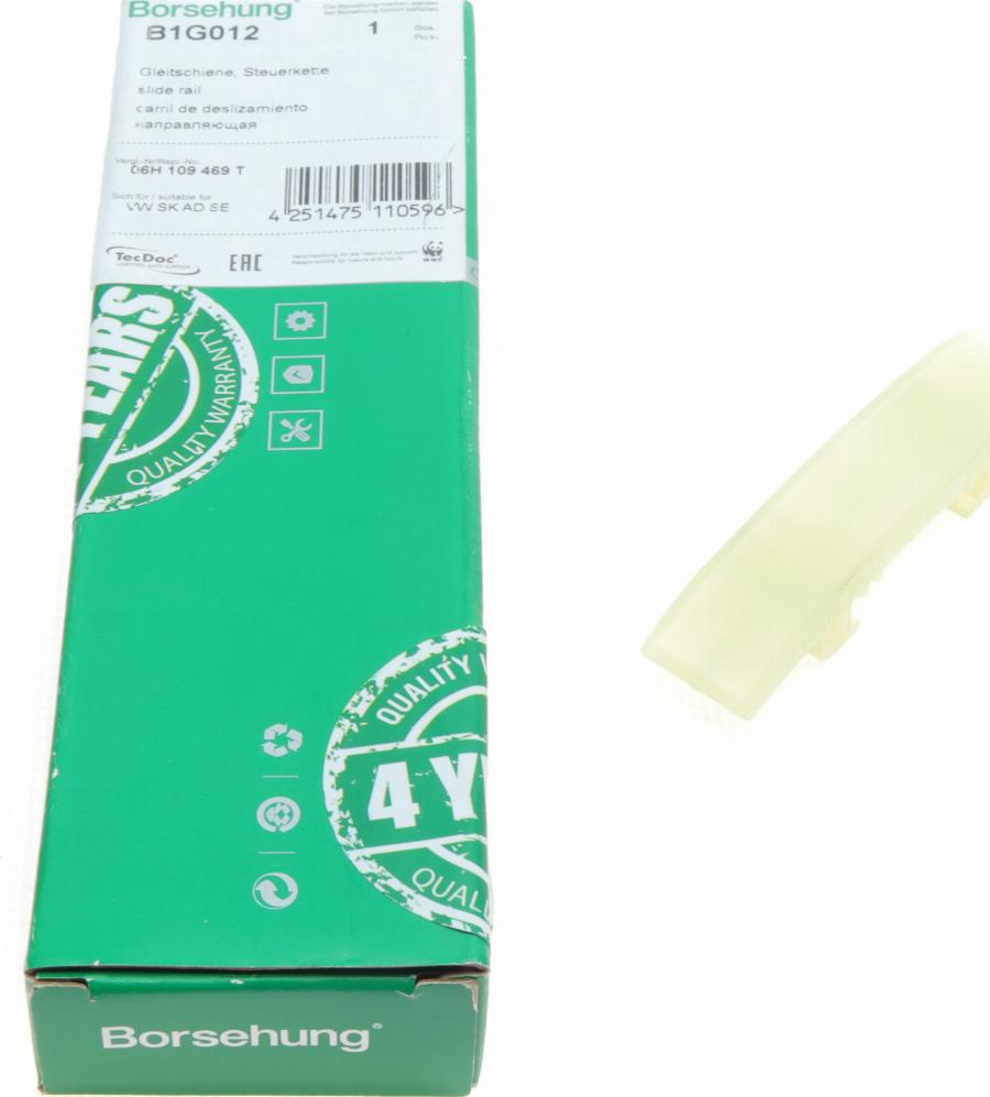 Borsehung B1G012 - Gleitschiene, Steuerkette alexcarstop-ersatzteile.com