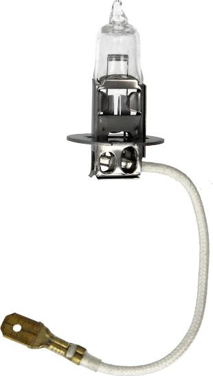 BOSCH 1 987 302 922 - Glühlampe, Abbiegescheinwerfer alexcarstop-ersatzteile.com