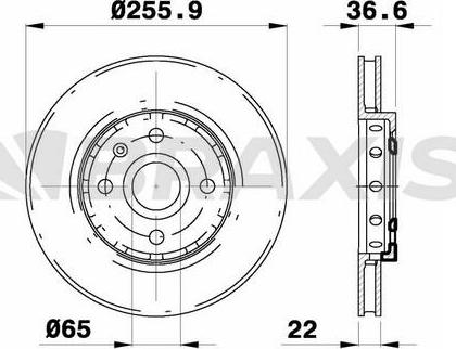 Braxis AE0219 - Bremsscheibe alexcarstop-ersatzteile.com