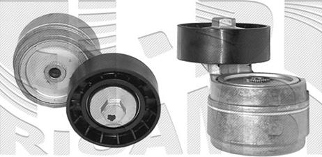 Caliber 37869 - Umlenk / Führungsrolle, Keilrippenriemen alexcarstop-ersatzteile.com