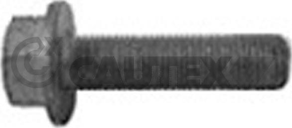 Cautex 757037 - Riemenscheibenschraube alexcarstop-ersatzteile.com