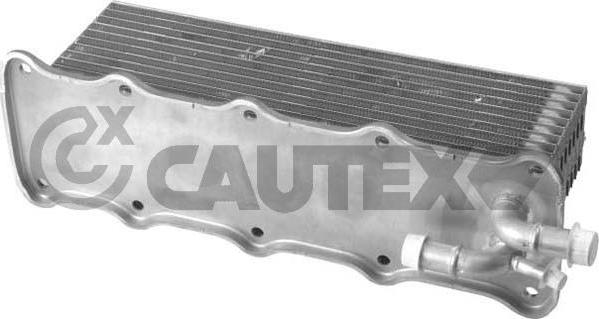 Cautex 760765 - Ladeluftkühler alexcarstop-ersatzteile.com