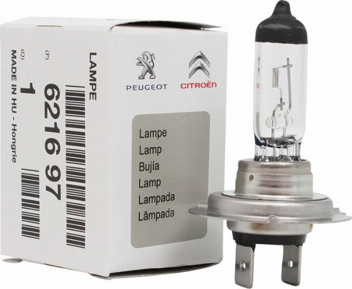 CITROËN 6216.97 - Glühlampe, Abbiegescheinwerfer alexcarstop-ersatzteile.com