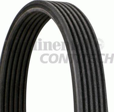 CONTINENTAL CTAM BR 6DPK1195 - Keilrippenriemen alexcarstop-ersatzteile.com