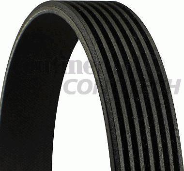 CONTINENTAL CTAM BR 7PK1516 - Keilrippenriemen alexcarstop-ersatzteile.com