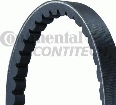 CONTINENTAL CTAM BR AVX13X900 - Keilriemen alexcarstop-ersatzteile.com