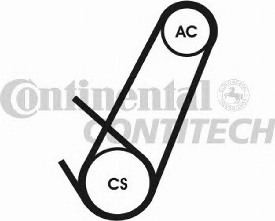 Contitech 4PK924 ELAST T1 - Keilrippenriemen alexcarstop-ersatzteile.com