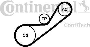 Continental 4PK925K1 - Keilrippenriemensatz alexcarstop-ersatzteile.com