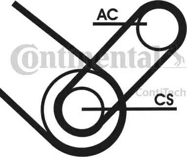 Continental 4PK874 ELAST T1 - Keilrippenriemen alexcarstop-ersatzteile.com