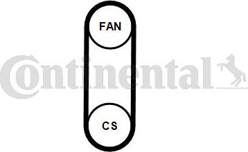 CONTITECH 4PK711 ELAST T1 - Keilrippenriemensatz alexcarstop-ersatzteile.com