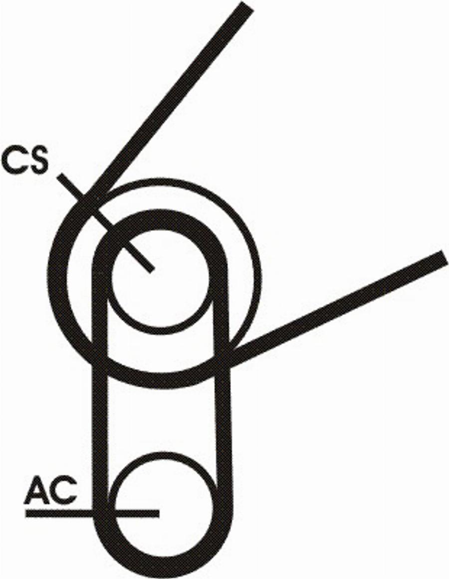 Contitech 5PK694 ELAST T1 - Keilrippenriemen alexcarstop-ersatzteile.com