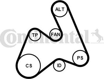 Contitech 5PK1592K1 - Keilrippenriemensatz alexcarstop-ersatzteile.com