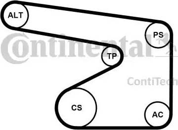 Continental 5PK1355K1 - Keilrippenriemensatz alexcarstop-ersatzteile.com