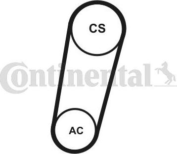 Contitech 5PK705ELASTT1 - Keilrippenriemensatz alexcarstop-ersatzteile.com