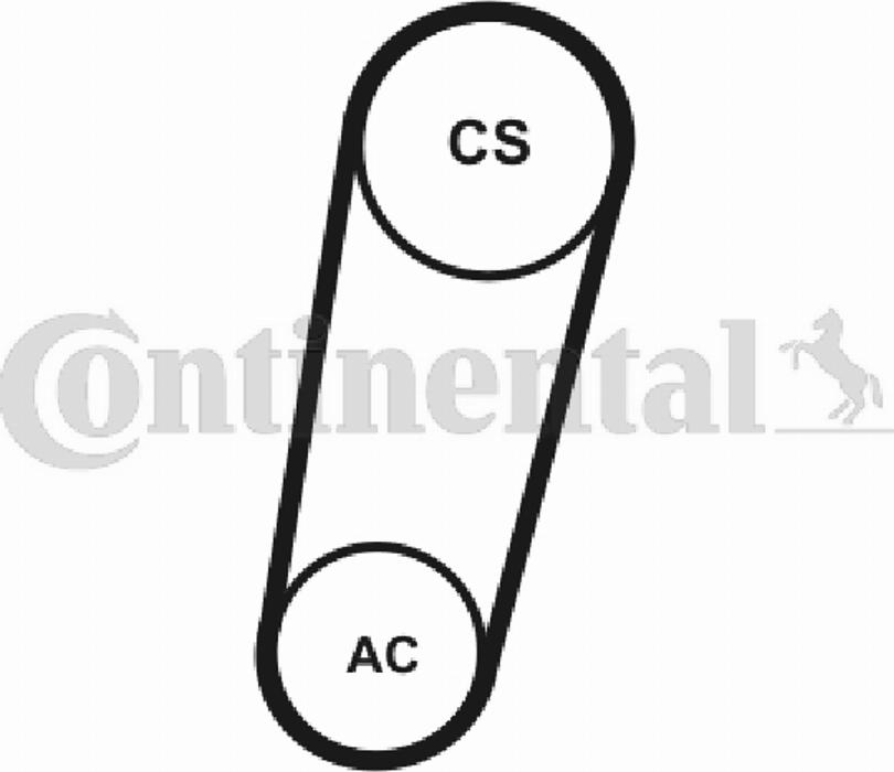 Contitech 5PK705T1 - Keilrippenriemen alexcarstop-ersatzteile.com