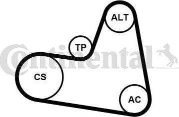 Contitech 6PK962K1 - Keilrippenriemensatz alexcarstop-ersatzteile.com