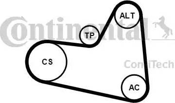 Continental 6PK976K2 - Keilrippenriemensatz alexcarstop-ersatzteile.com