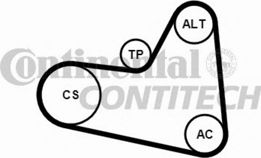 Contitech 6PK976K2 - Keilrippenriemensatz alexcarstop-ersatzteile.com