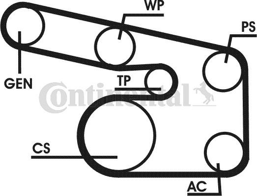 Contitech 6PK1900D1 - Keilrippenriemensatz alexcarstop-ersatzteile.com