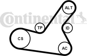 Contitech 6PK1564K2 - Keilrippenriemensatz alexcarstop-ersatzteile.com