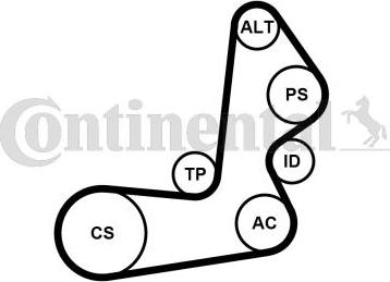 Contitech 6PK1515K1 - Keilrippenriemensatz alexcarstop-ersatzteile.com