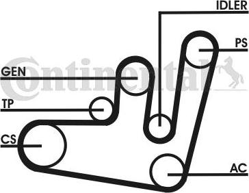 Contitech 6PK1660D1 - Keilrippenriemensatz alexcarstop-ersatzteile.com