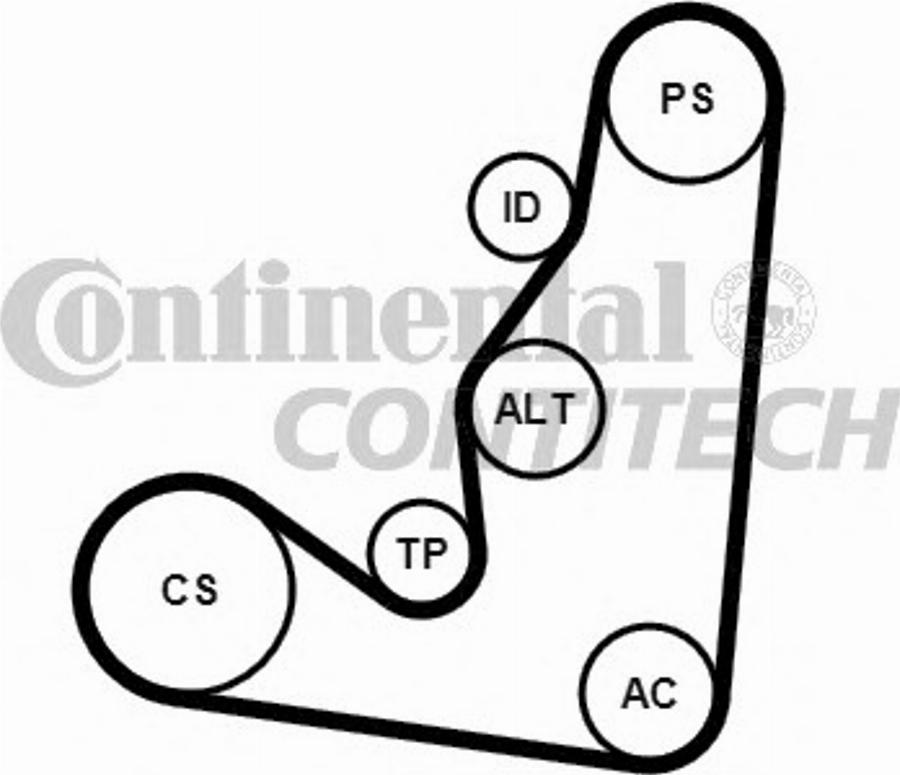 Contitech 6PK1660K4 - Riemenspanner, Keilrippenriemen alexcarstop-ersatzteile.com