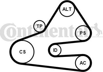 Contitech 6 PK 1613 K1 - Keilrippenriemensatz alexcarstop-ersatzteile.com
