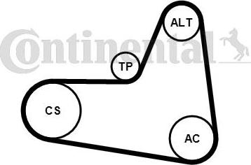 Contitech 6 PK 1045 K2 - Keilrippenriemensatz alexcarstop-ersatzteile.com