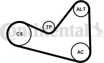 Contitech 6PK1050K3 - Keilrippenriemensatz alexcarstop-ersatzteile.com