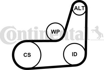 CONTITECH 6PK1019 ELAST T2 - Keilrippenriemensatz alexcarstop-ersatzteile.com