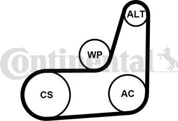 CONTITECH 6PK1019 ELAST T2 - Keilrippenriemensatz alexcarstop-ersatzteile.com