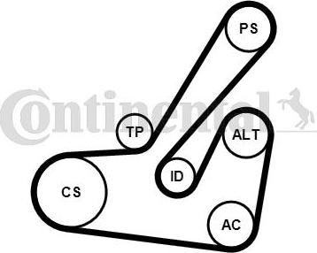 Contitech 6PK1145K2 - Keilrippenriemensatz alexcarstop-ersatzteile.com