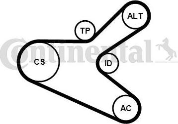 CONTITECH 6PK1153K2 - Keilrippenriemensatz alexcarstop-ersatzteile.com