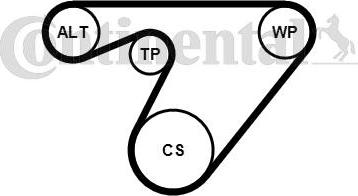 Contitech 6PK1180K3 - Keilrippenriemensatz alexcarstop-ersatzteile.com