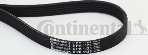 Contitech 6PK1125 - Keilrippenriemen alexcarstop-ersatzteile.com