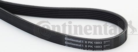 Contitech 6PK1893 - Keilrippenriemen alexcarstop-ersatzteile.com